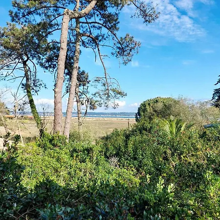 Beach Front In With Kitchen Ferienhaus Lège-Cap-Ferret